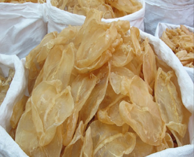 Ugandan government to levy tax on fish maw exports