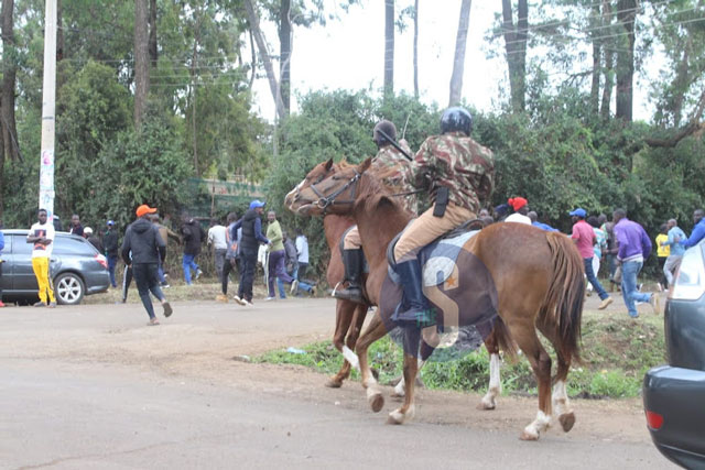 It’s a horse affair as cops disperse youth at Bomas