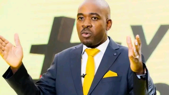 ZIMBABWE: Chamisa slams electoral body as vote rigging claims fray