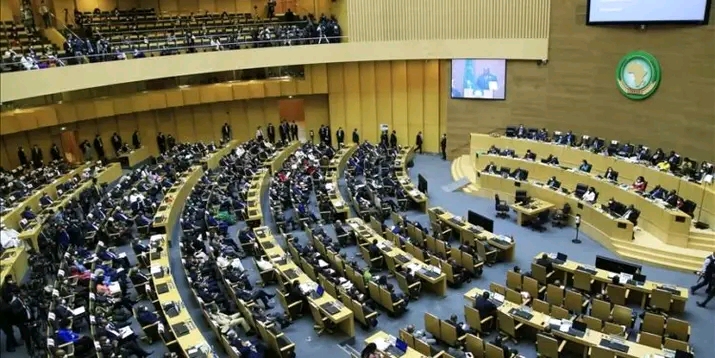 OPINION: AU’s suspension of Gabon concerns