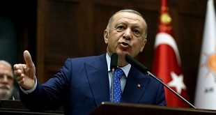 Erdogan urges G20 leaders to meet Russian demands on grain deal