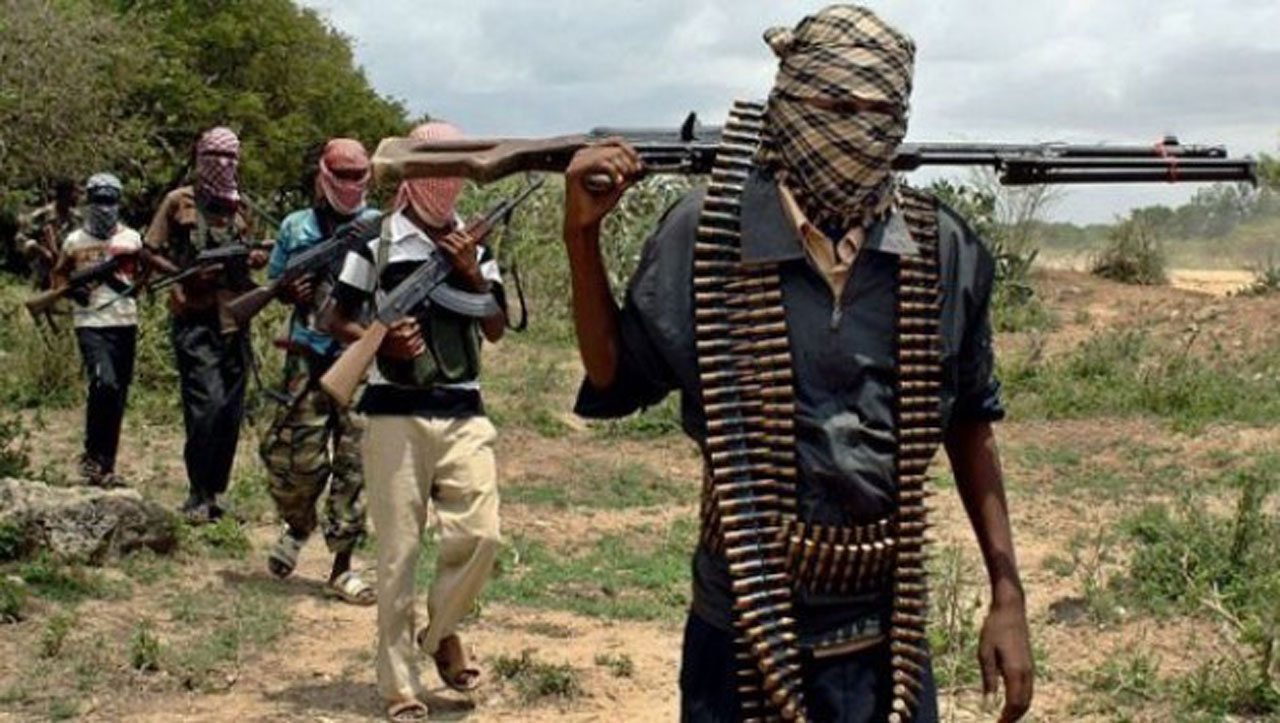 NIGERIA: Governor Zulum’s Urgent Warning: Boko Harm Threatens to Consume Nigeria, Calls for Action to Prevent Disaster