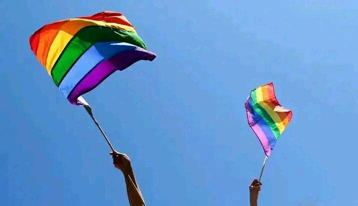 Namibia Court Backs Same-sex Marriages