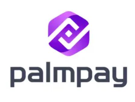 PalmPay resumes onboarding of new customers