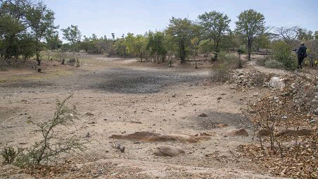 SOUTH AFRICA: El Niño Drought Leaves 68 Million in Southern Africa in Dire Need of Aid, SADC Reports