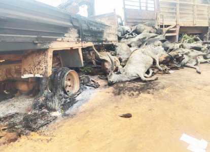 NIGERIA: Tanker Explosion Claims 48 Lives, 50 Cows in Niger State