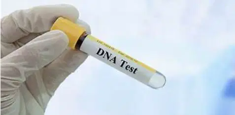 Nigeria : Paternity uncertainty remains high – DNA Testing report.